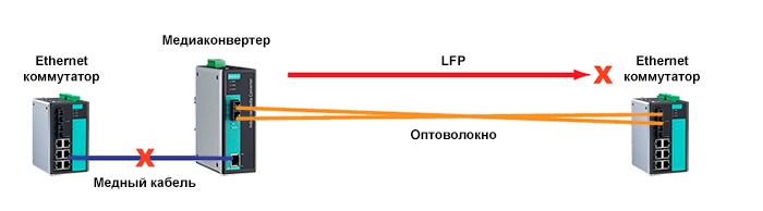 6P3fT7IiJF0.jpg