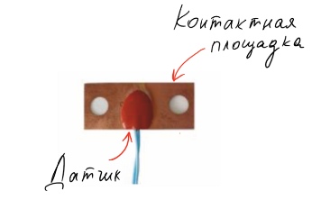 ypT6g1LNolc.jpg